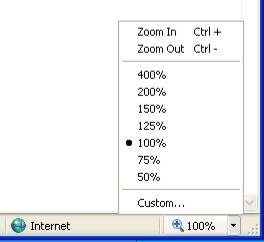 IE-Zoom