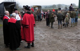 The horses begin to arrive